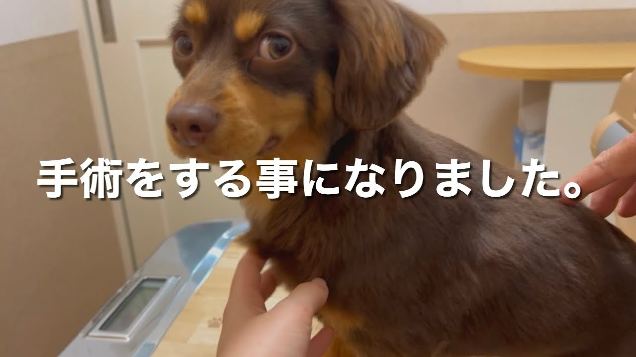 人生初の手術をすることになりました。