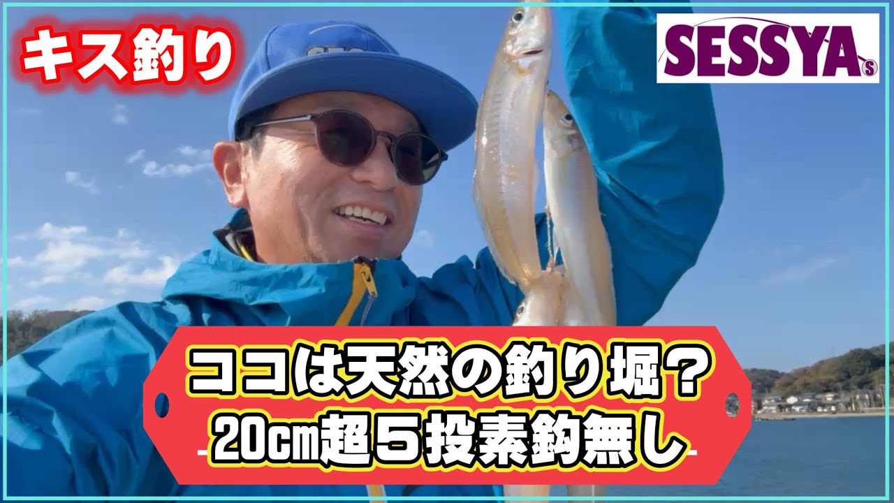 【キス釣り】ココは天然の釣り堀？20cm超5投素鈎無し
