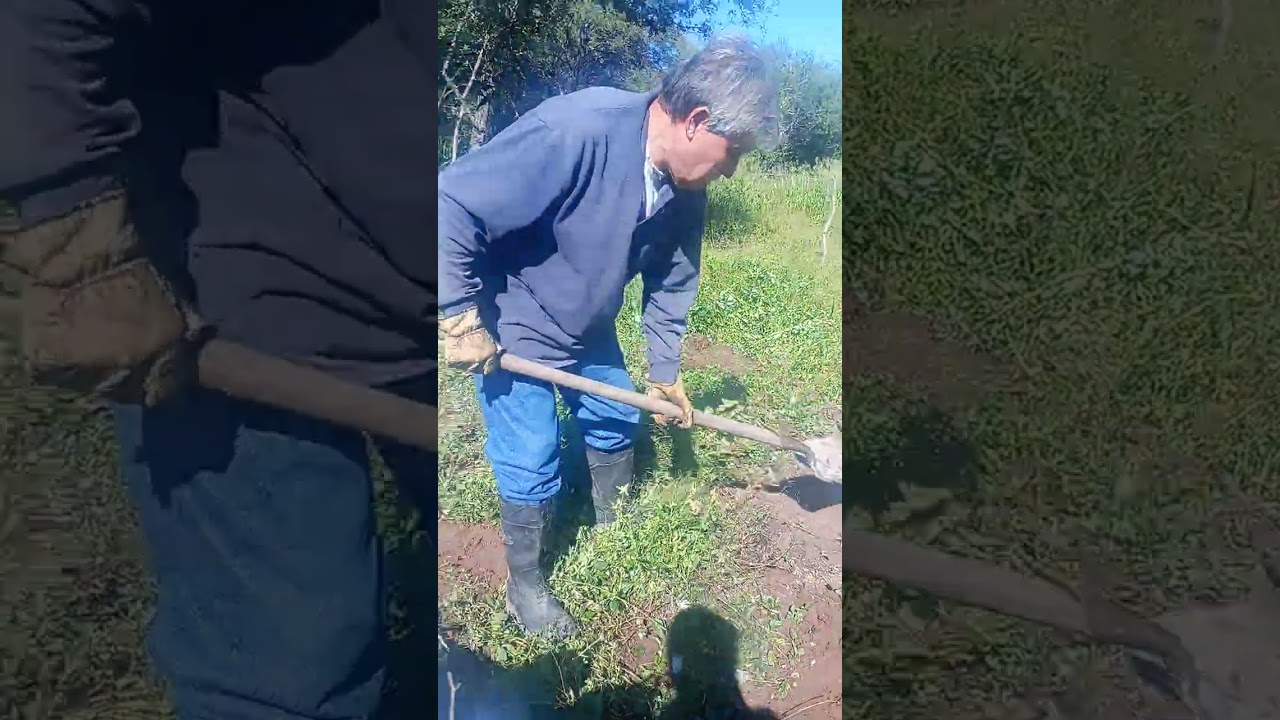 Qué lástima que no funcionaron las parras.