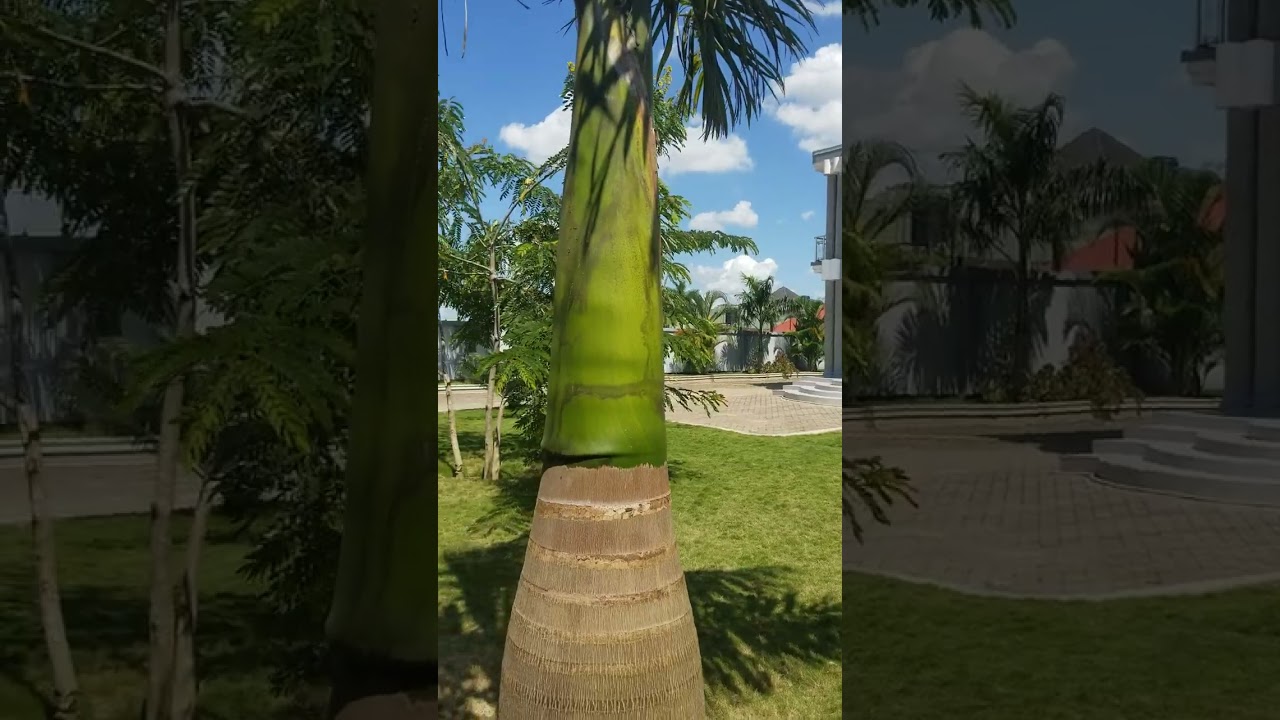 Nyumba inauzwa Tsh ml 750 , Kinyerezi Dar es salaam Tanzania: +255(0)689508094