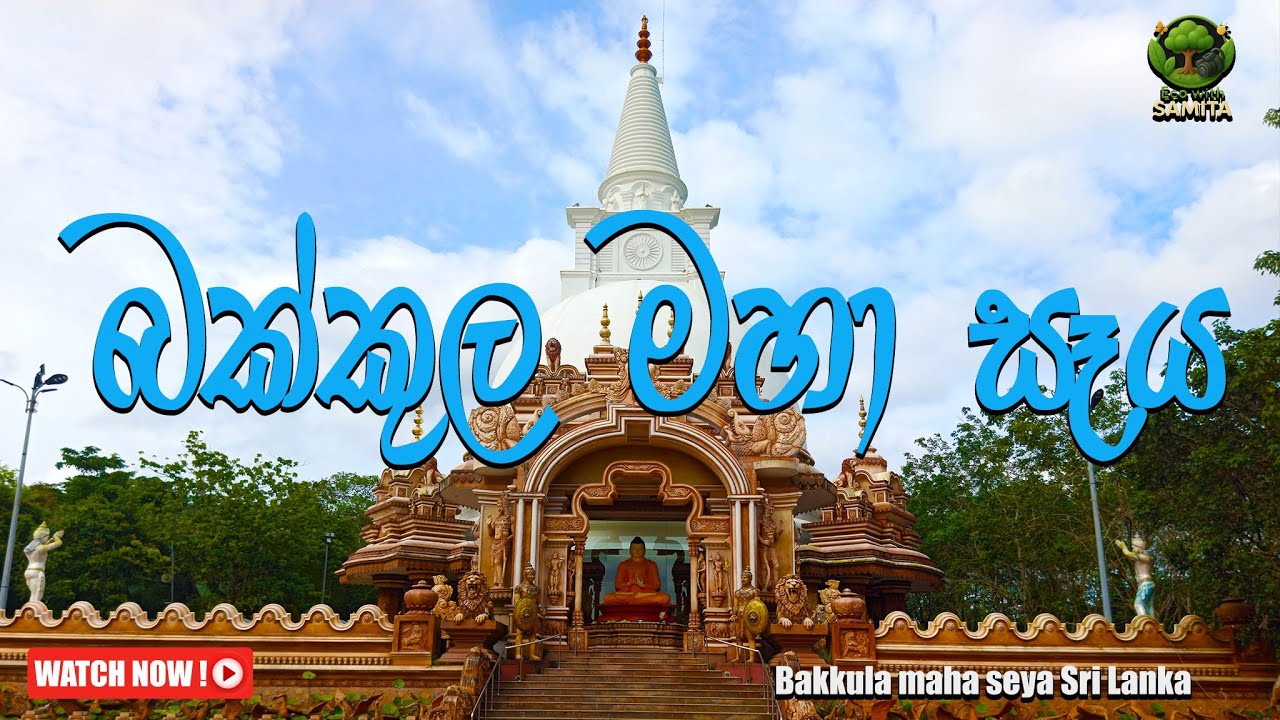 හිත නිවන බක්කුල මහා සෑ පුදබිම | Peaceful Bakkula Maha Seya Religious Vlog #SriLanka #travel