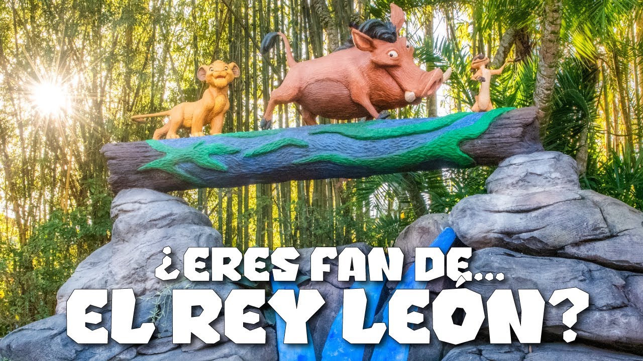 EL REY LEÓN 🦁 Shows Atracciones Souvenirs Hoteles en Disney World y Disneyland de The Lion King