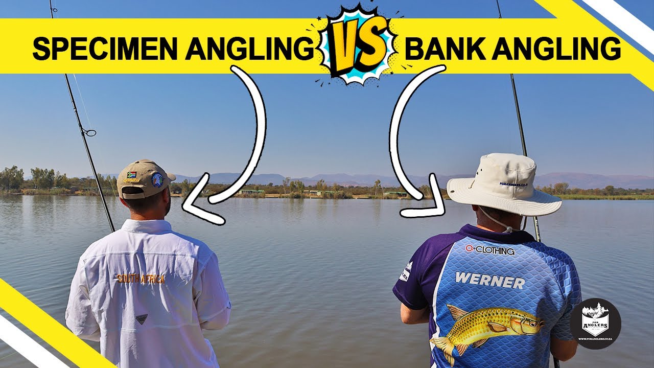 Bank angling or specimen angling, which catches more fish?
