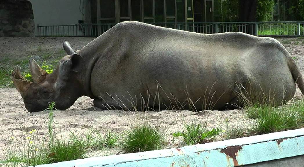 Zoologischer Garten Magdeburg