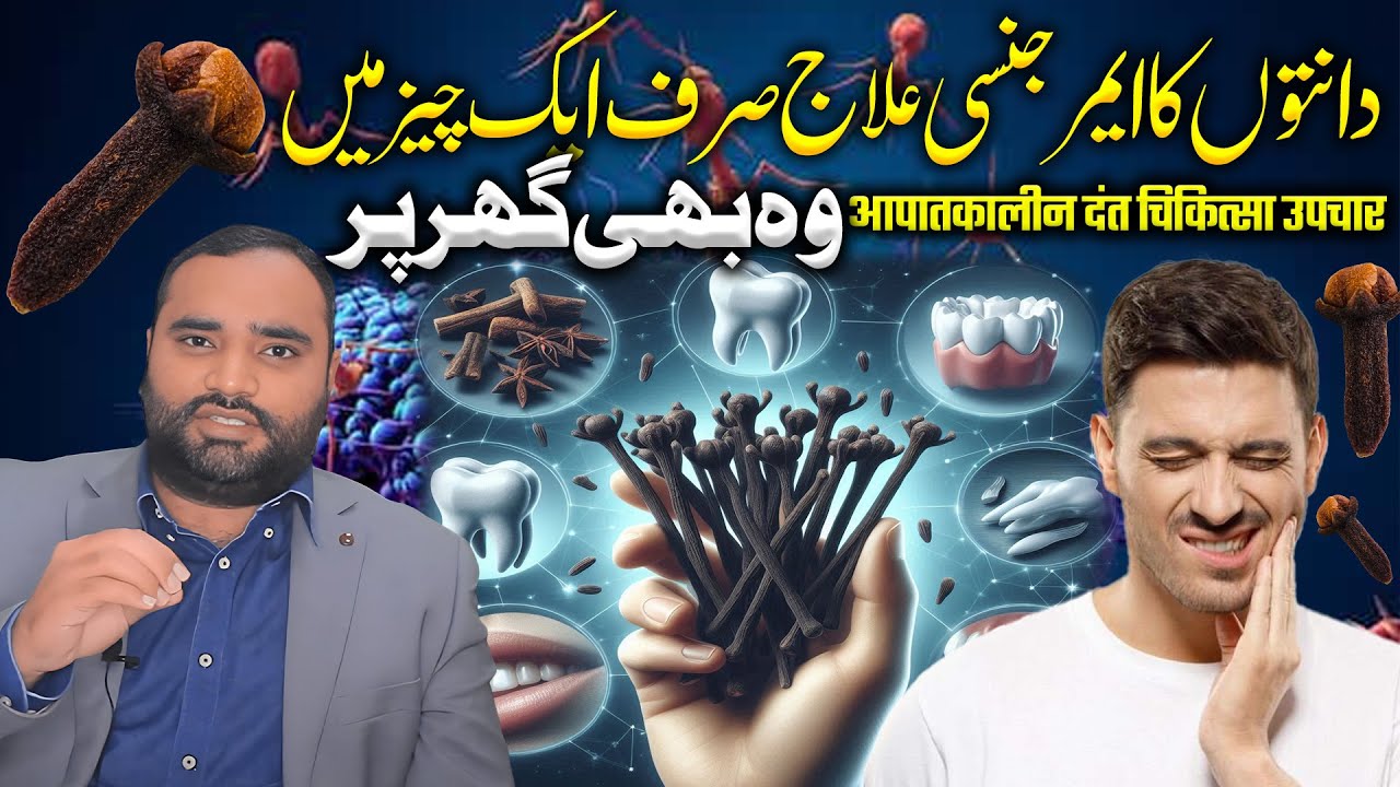 Use Clove Oil For A Toothache or Dental Abscess | how to use clove oil for teeth | Dr Aqeel Maqsood