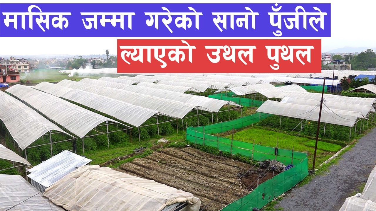 कृषिमा चमत्कार गरेका युवाको अनुभव सुनौं || Agriculture in Nepal ||