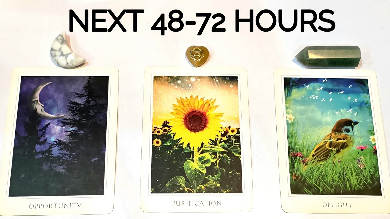 PICK || NEXT 48-72 HOURS ⏰️ ENERGY CHECK-IN 🪄 WHAT'S COMING NEXT FOR YOU ⚓️ TIMELESS 
