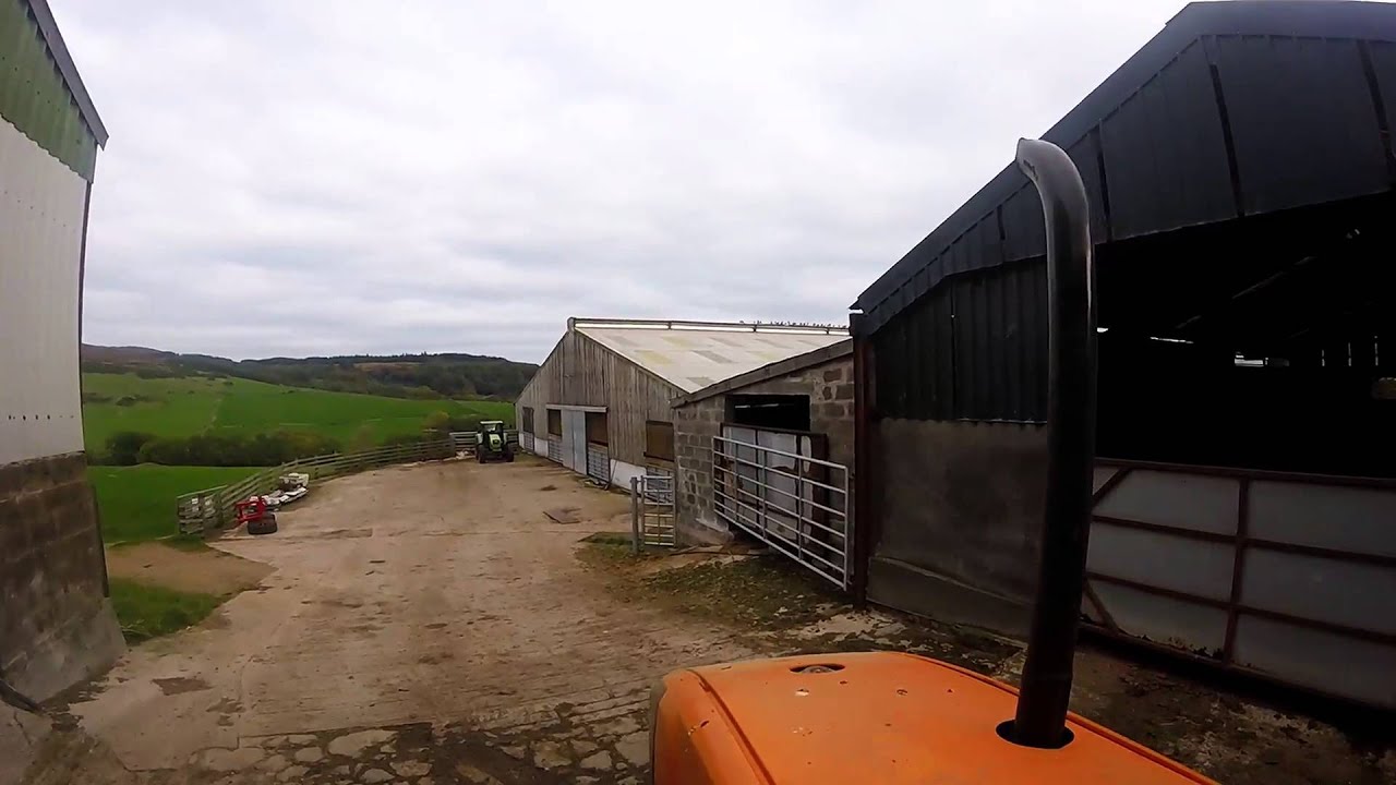 Feeding the cows with a trioliet feeder wagon on a Renault tractor