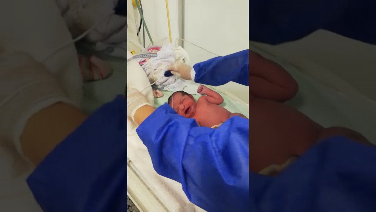 VIDEO  Adaptación neonatal
