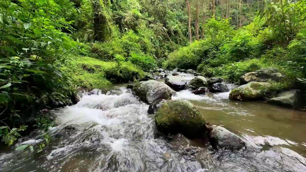 Let your emotions calm with gentle river sounds near a quiet hillside stream to promote deep rest