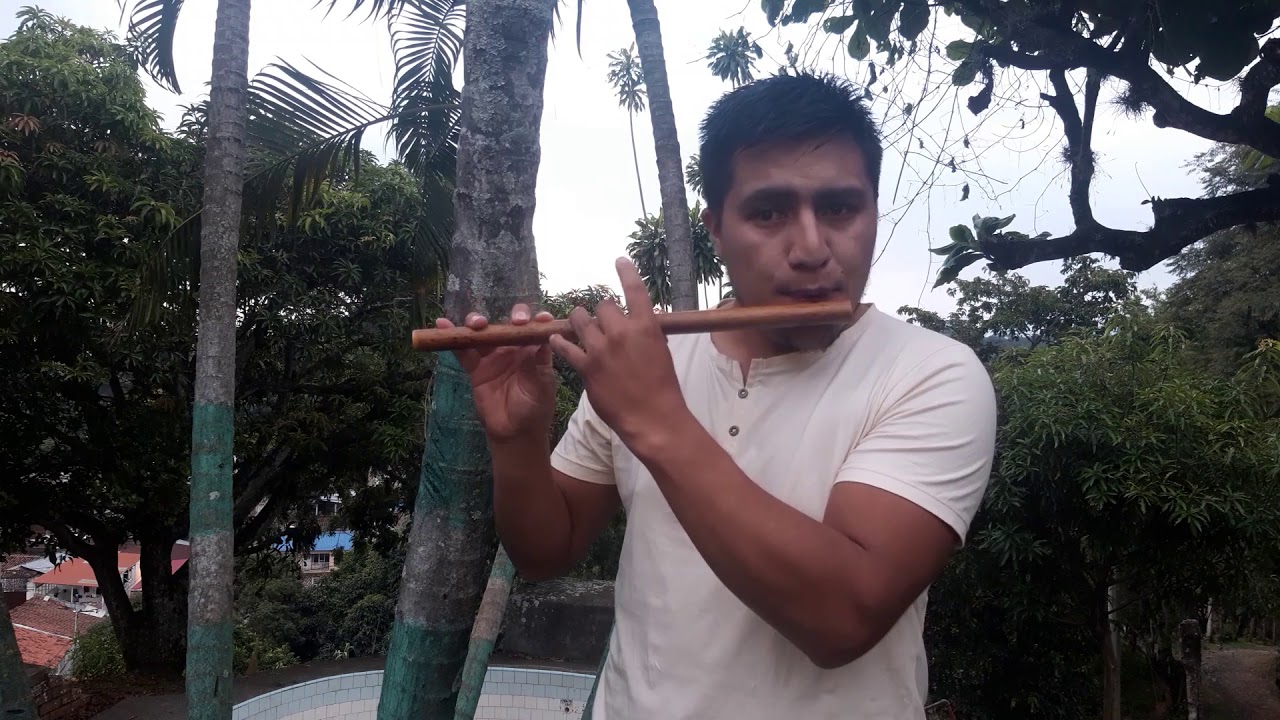 MÚSICA AUTÓCTONA TRADICIONAL 