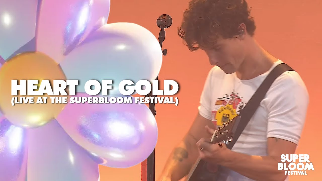 Shawn Mendes performs 