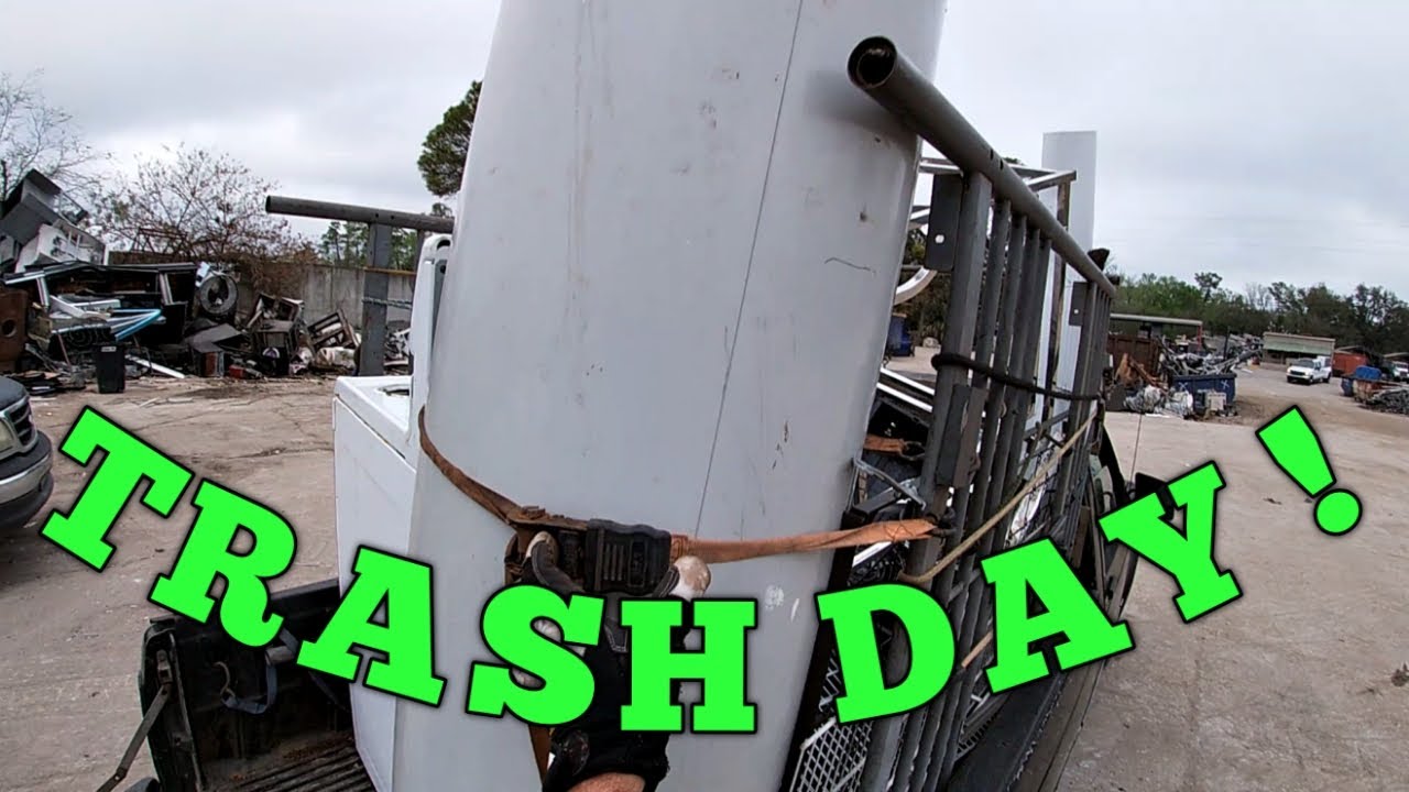 Always looking forward to trash day.