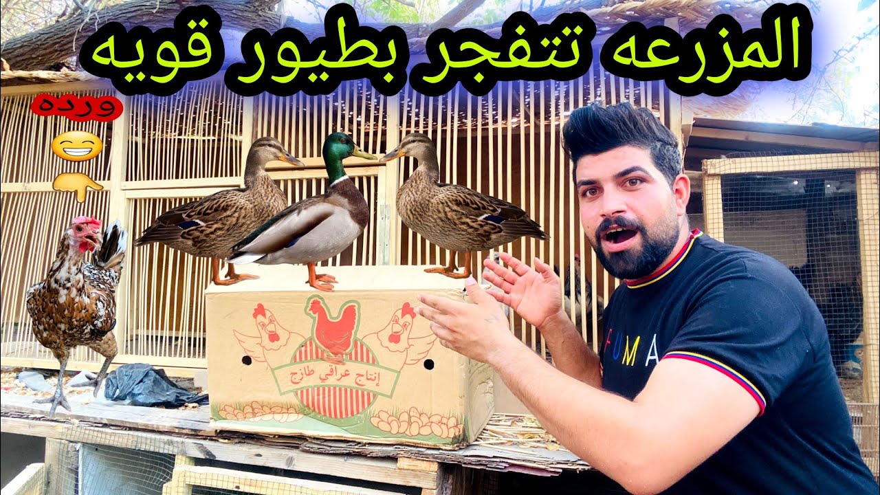 جبت طيور للمزرعه 🦆وجبت طيور للمحميه🦜