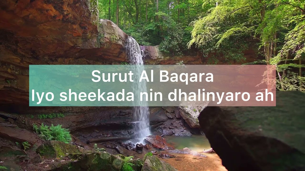 Surut Al Baqra and the 90 days challenge