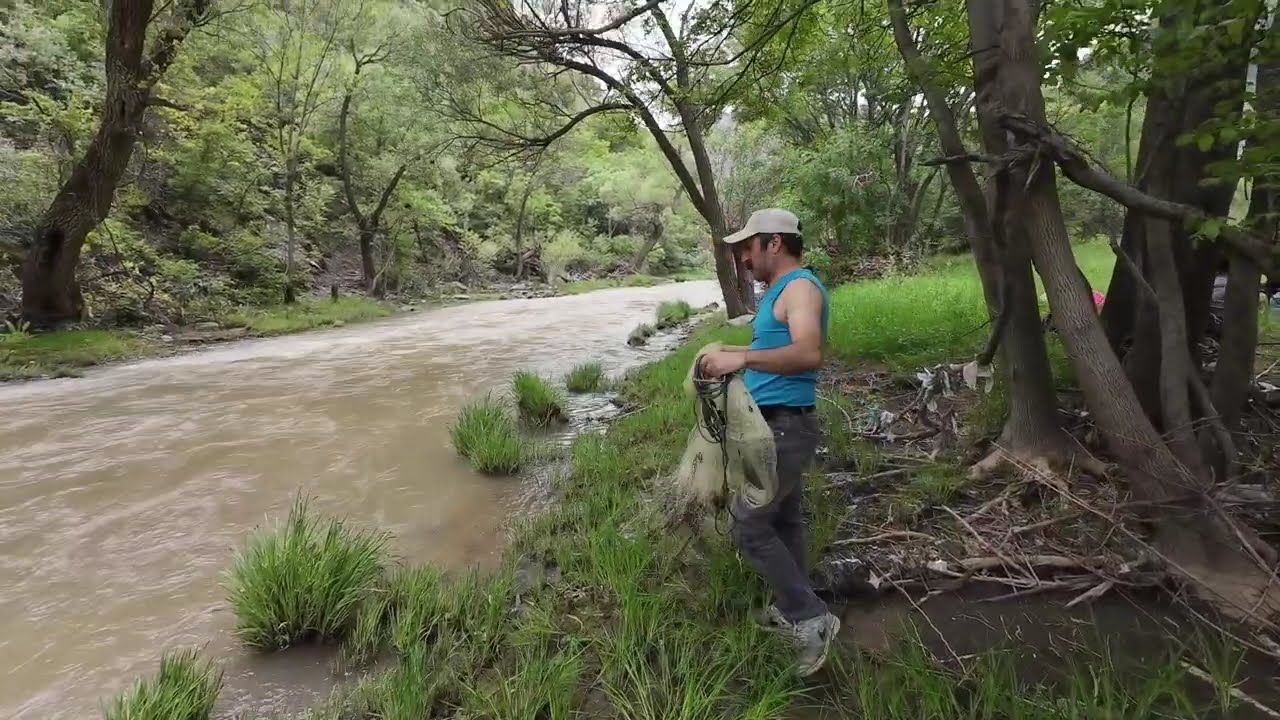 searching for a fish nest in the stream