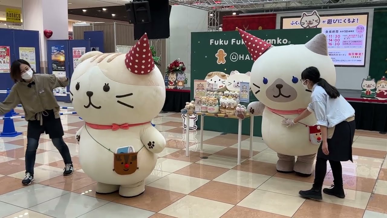 ふくふくにゃんこ　2022/11/23　シャーシャ＆スコア誕生日グリーティングイベント