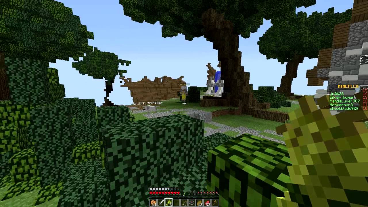 WHO'S SILVER?!- Mineplex Minecraft: Hunger Games - Episode 12