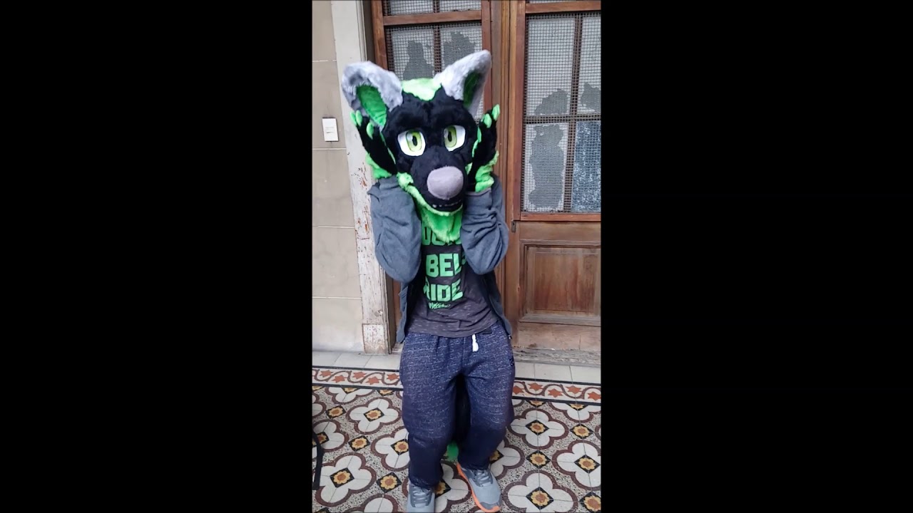 Baxter the wolf Min partial