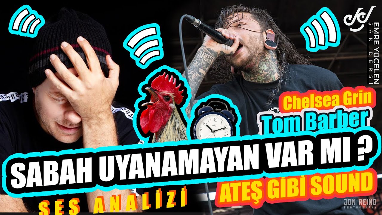 Кто не просыпается утром? ЗВУКИ, КАК Челси Грин - Анализ голоса Тома Барбера