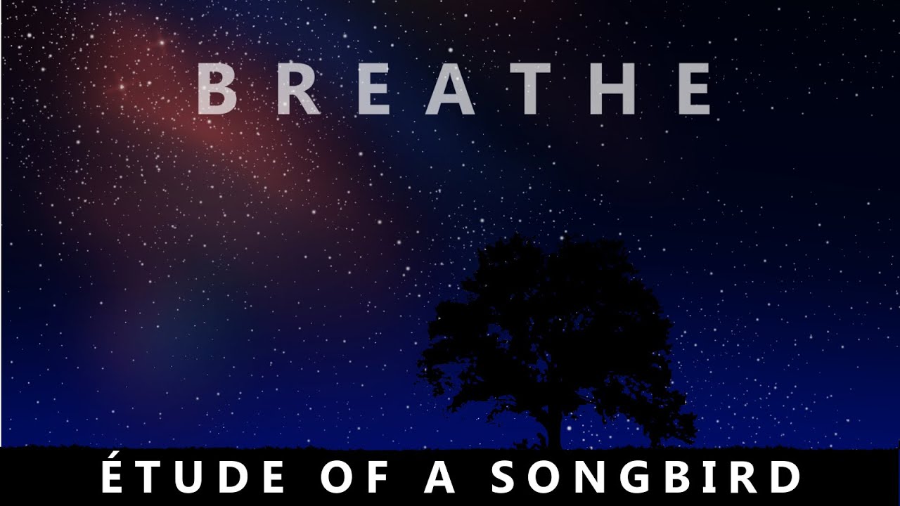 Étude of a Songbird - Original Piano Composition by Laura Platt