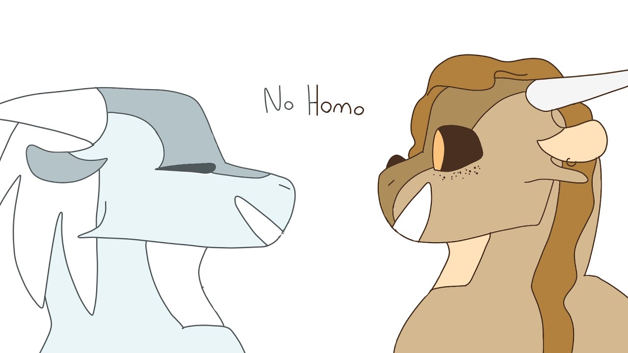 The Bro Duet || Wings of Fire