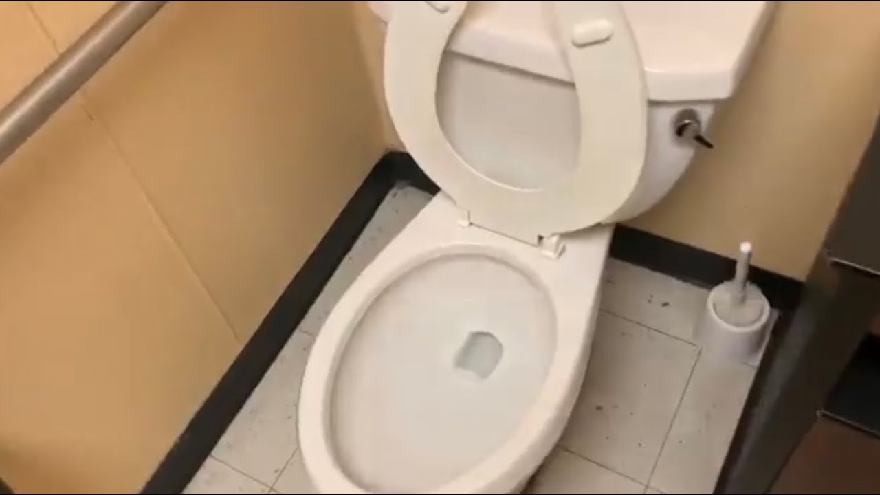 PUBLIC RESTROOM REVIEW- PetSmart (Cranberry Township, PA)