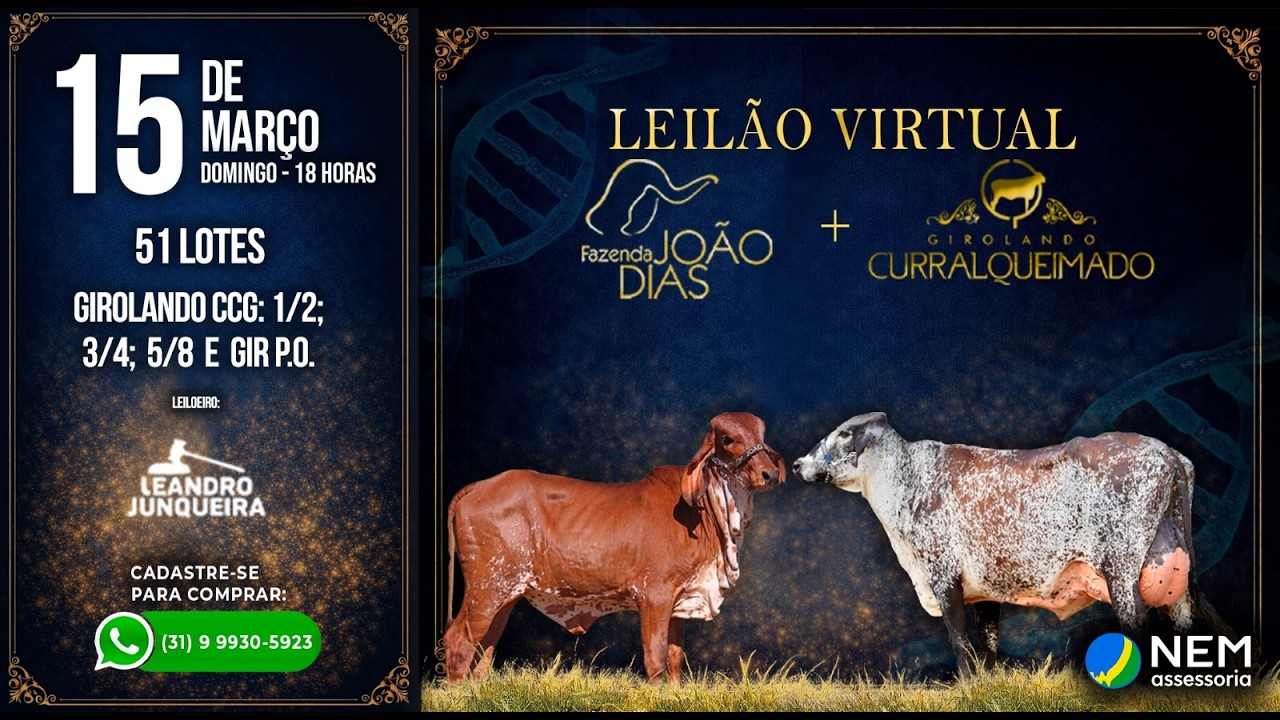 ✅ LEILÃO VIRTUAL FAZENDA JOÃO DIAS + GIROLANDO CURRAL QUEIMADO - 15/03/2026 ⏰ 17:00h