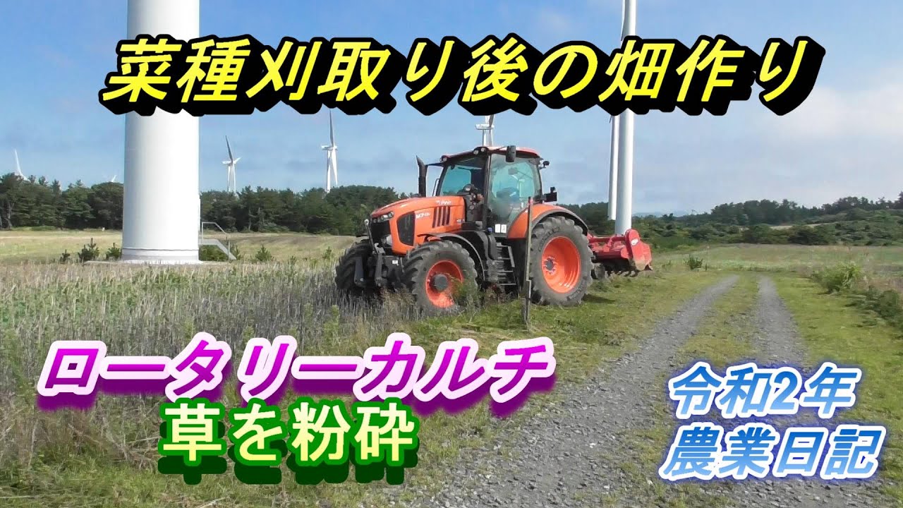 菜種刈取り後の畑作り