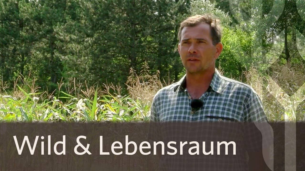Niederwildversuchsrevier Deutsch Haslau