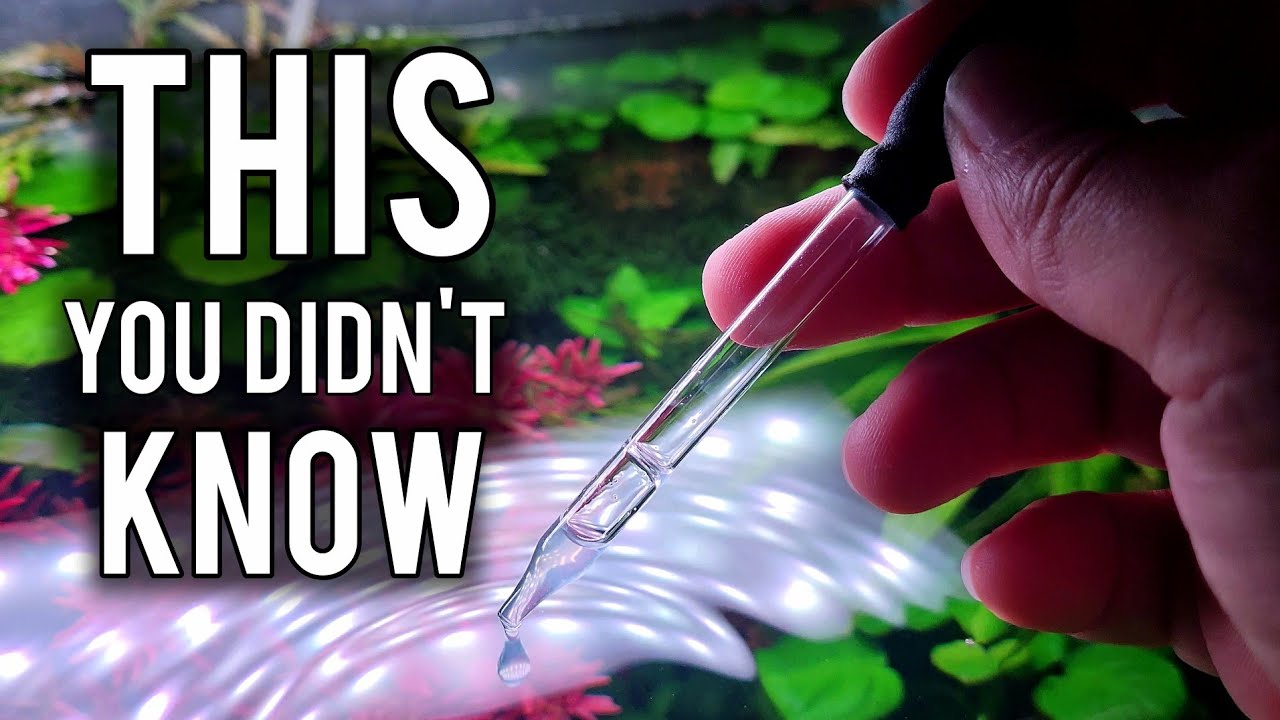 The Secret to Explosive Aquarium Plant Growth - No CO2 Needed