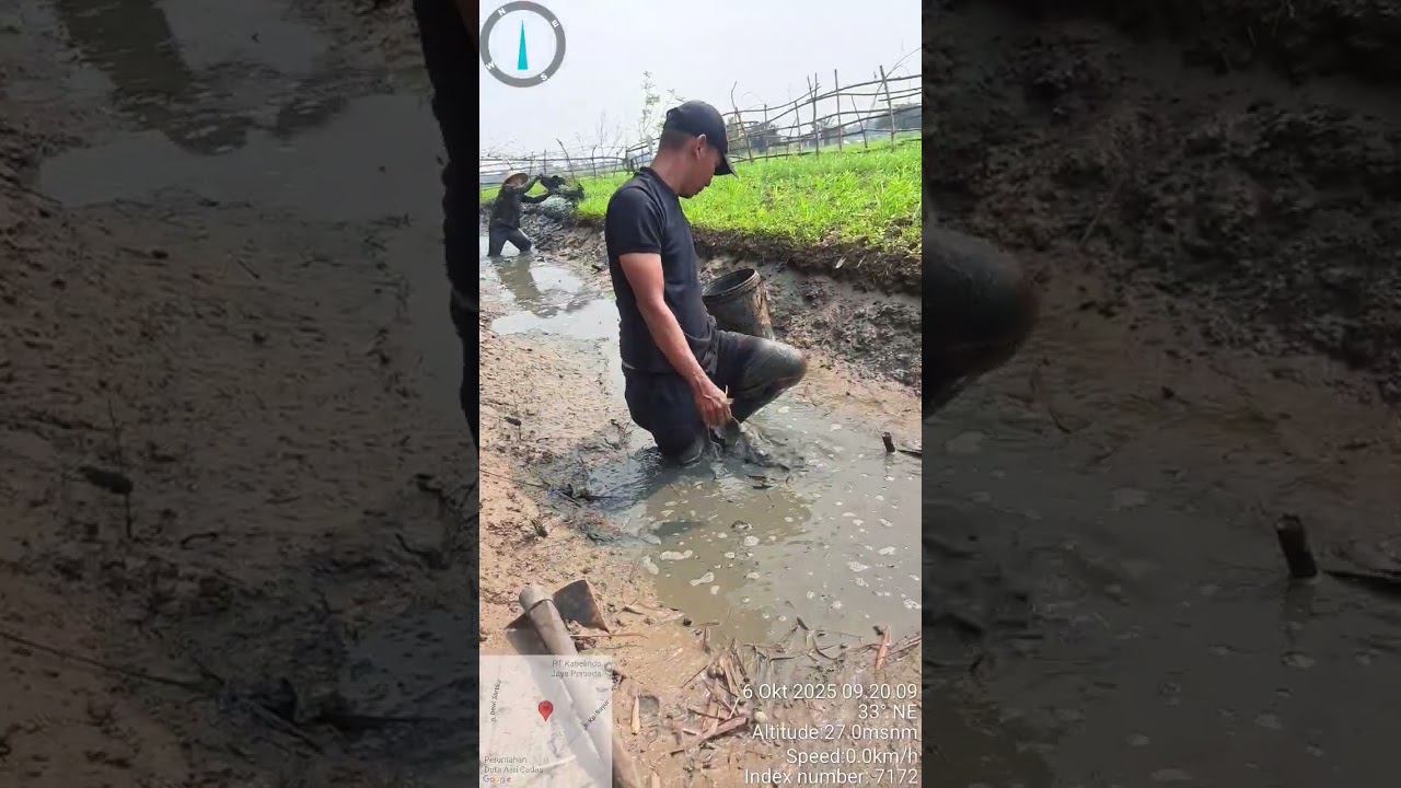 Cari ikan dulu