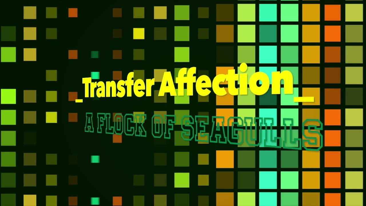 Transfer Affection (Flock remix with lyrics) By : A Flock of Seagulls