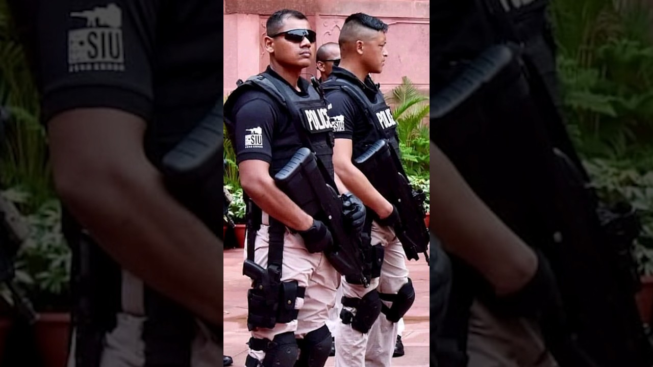 Who is responsible for Parliament's security?