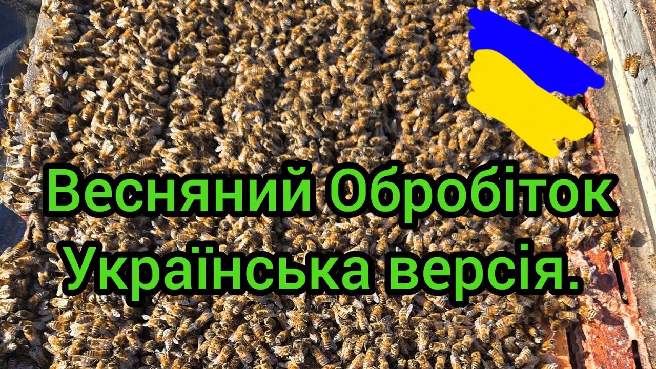 Весняний обробіток бджіл від кліща вароа!!!