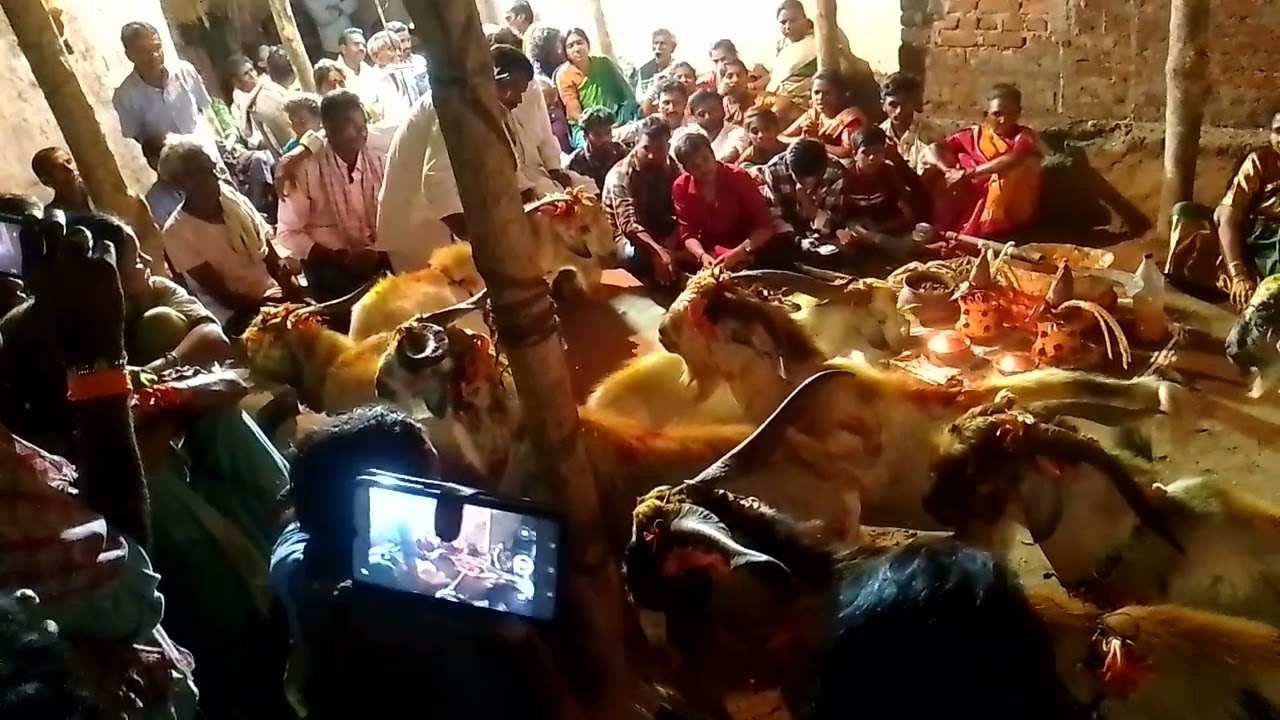 chandapu satyam patuvardanam golla chaduvu 9652263514(3)