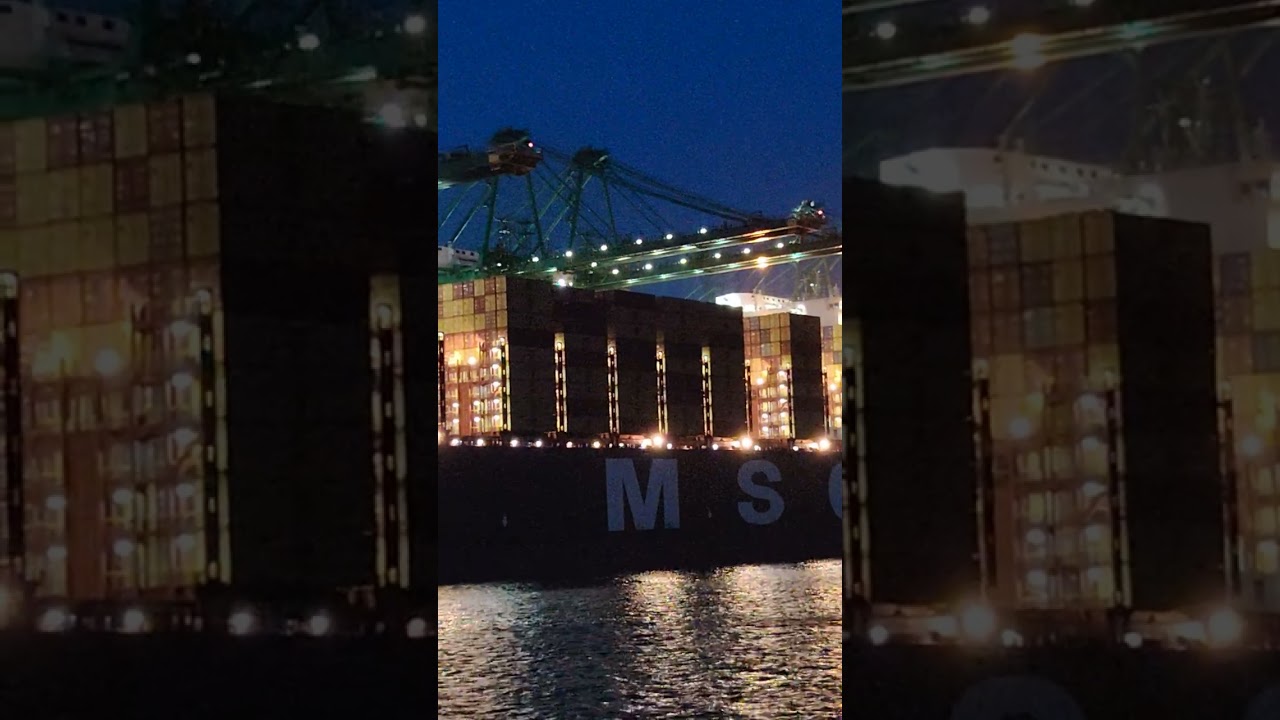 MSC Allegra being loaded or unloaded at a port during nighttime #ship #fypシ #msccontainership 