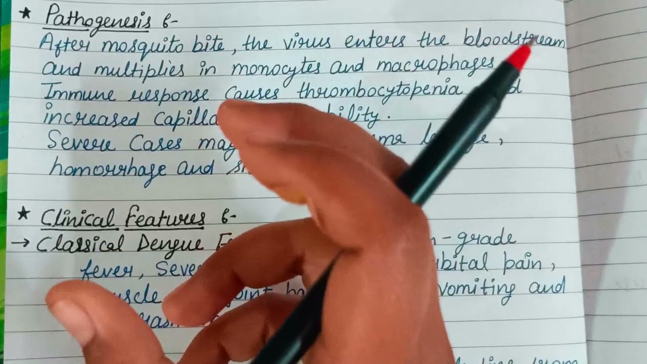 Dengue Full Explanation | Pathogenesis, Diagnosis, Treatment & Vaccine | Complete Microbiology Lect.