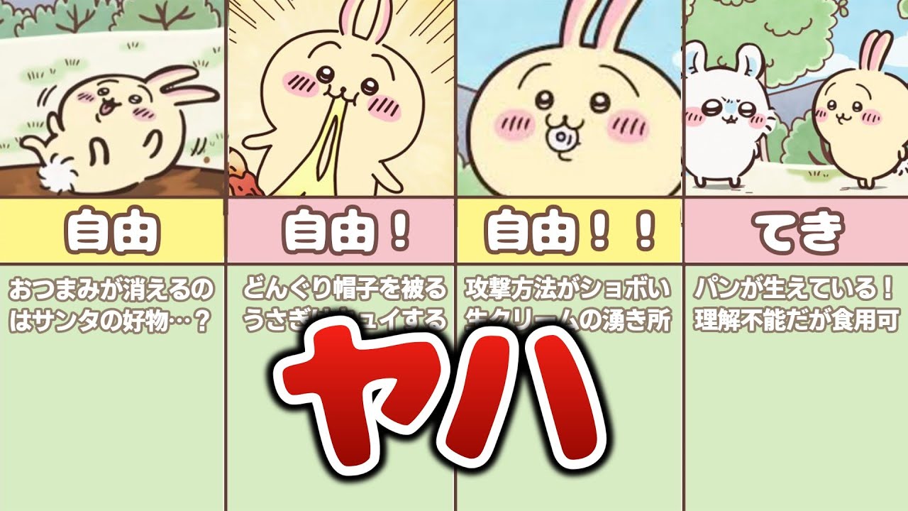 うさぎの不可解な行動を徹底考察！