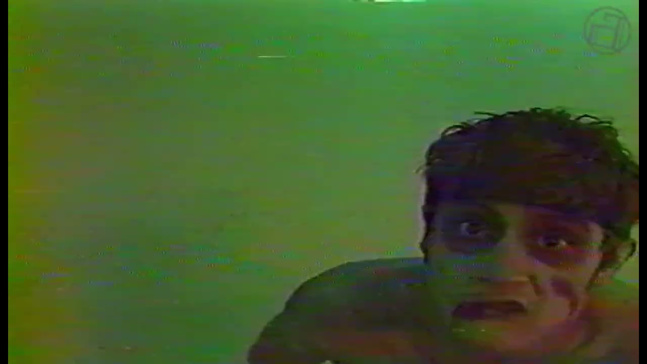 Ausweis 🎤 Pas Demain  📅  1987 📼  Archives Capsul'Rock  📺 Tv jamais diffusé 🛠️  Vhs num UhdPro 2024