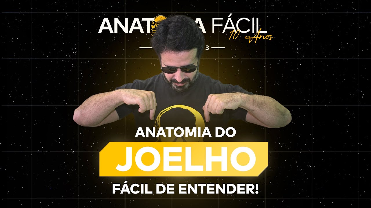 Anatomia do JOELHO como você NUNCA viu