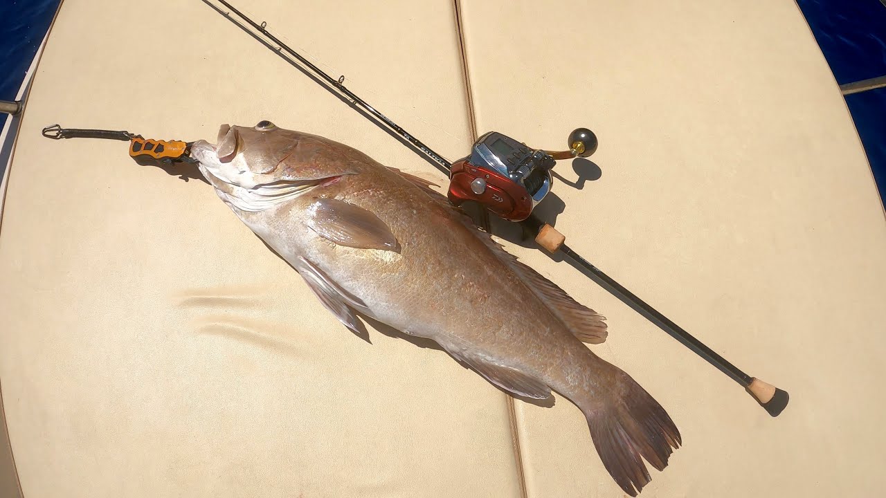 Daiwa Seaborg 500mj jigging ayarları. (Daiwa Seaborg jigging settings)