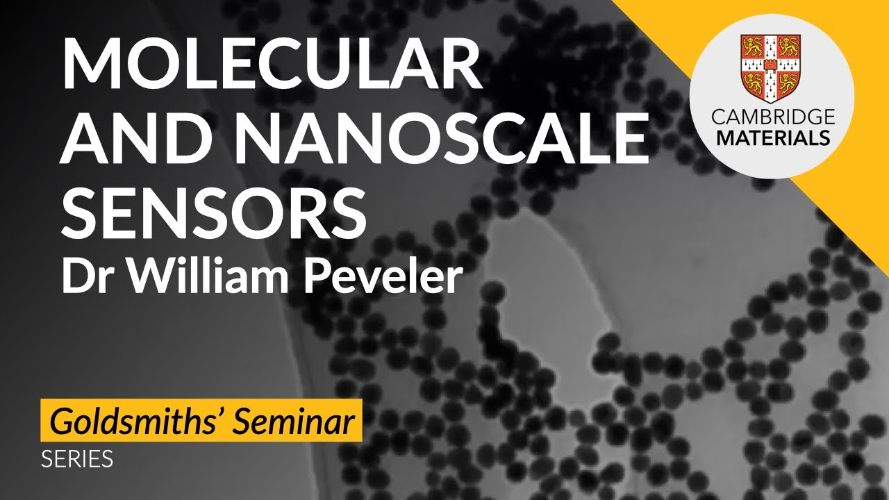 Sense and sensibility: Molecular and nanoscale engineering for next generation chemical sensors