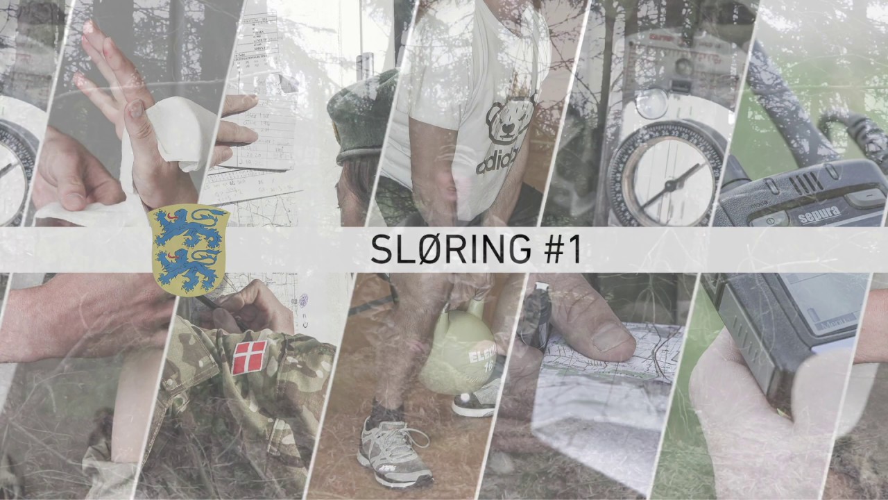 Sløring #1