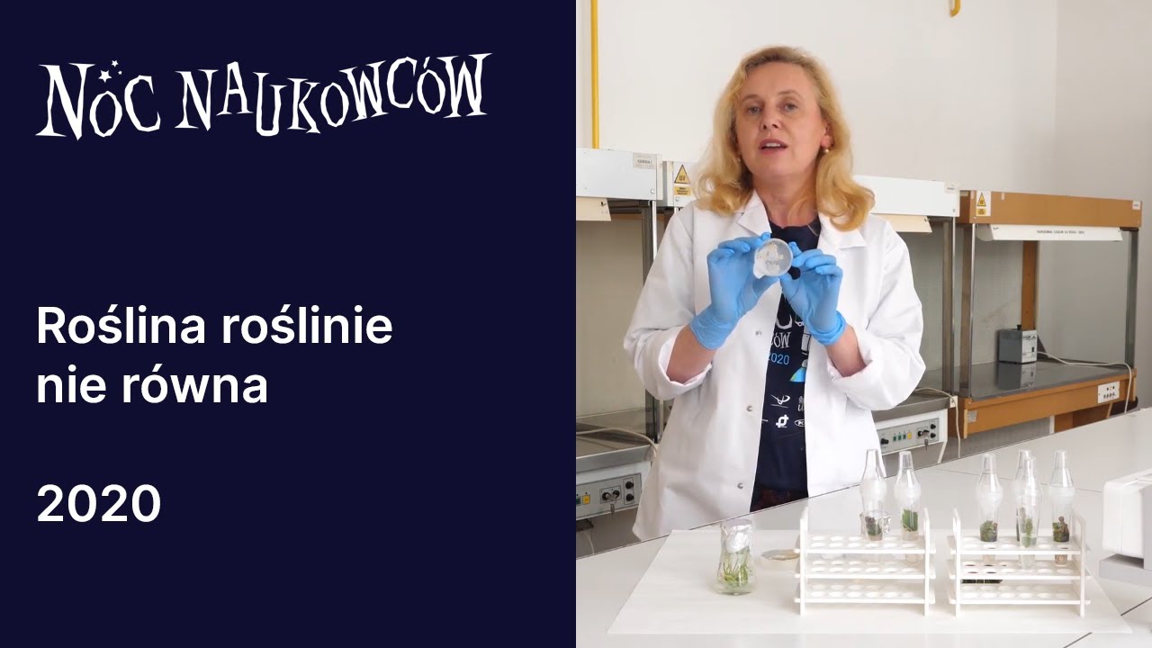 Roślina roślinie nie r&oacute;wna - od chromosomu do rośliny w prob&oacute;wce - dr inż.  Sylwia Mikołajczyk