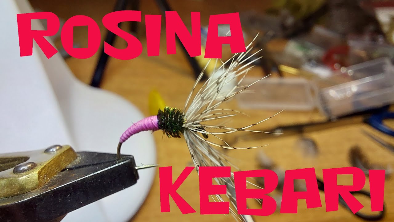 Rosina Kebari   🌷