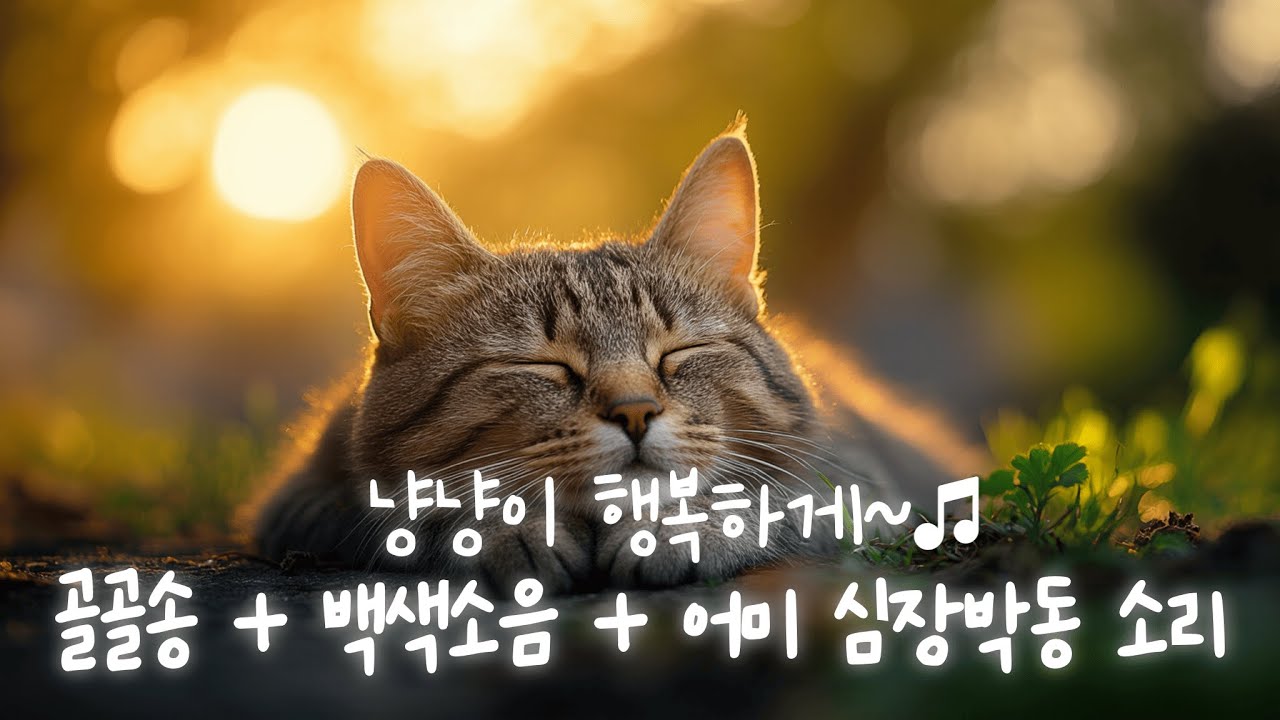 [중독보장] 고양이가 좋아하는 소리 | 골골송 + 어미 심장박동 + 백색소음 빗소리 | 안정감 & 편안함 & 불안완화 & 스트레스 해소 | Relaxing Music for Cat