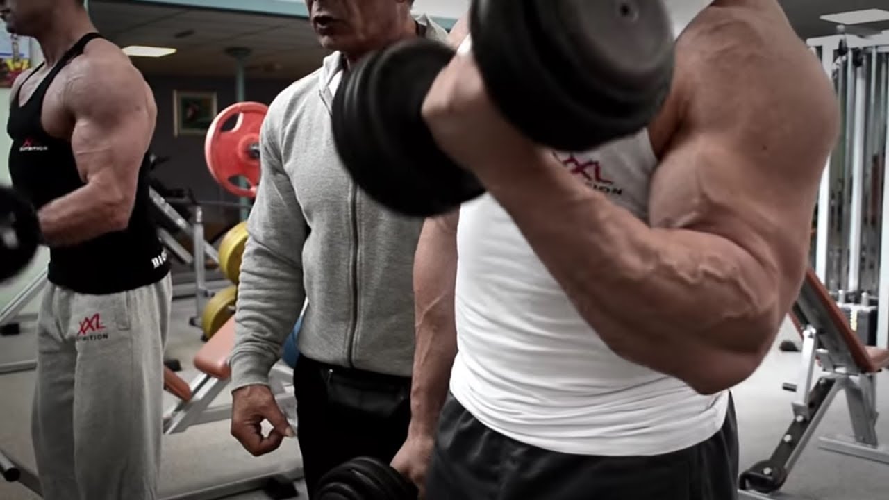 XXL Nutrition - Basis Armen Training
