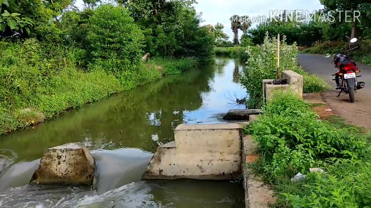 Cauvery Delta.Tamilnadu,India
