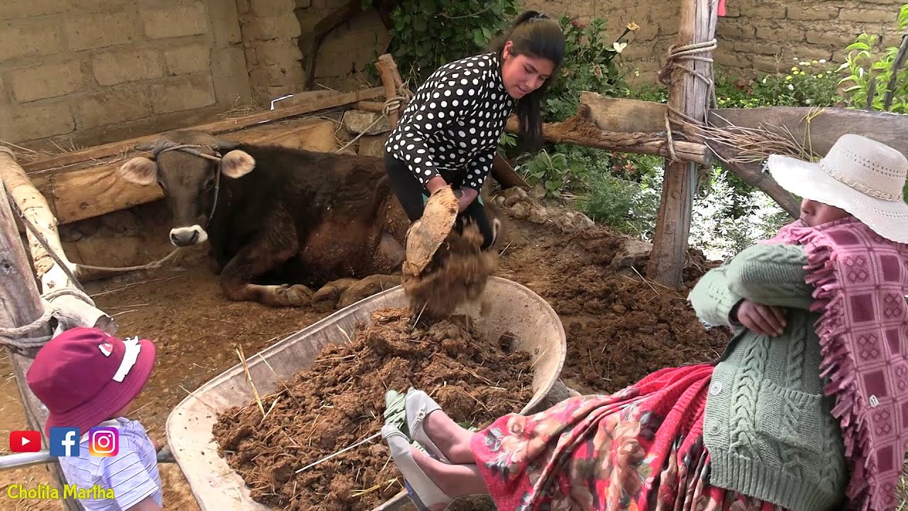 SUEGRA MALTRATA A LA NUERA Y ELLA HISO ESTO AL FINAL TERMINO ASI -  CHOLITA MARTHA